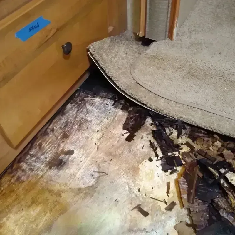 Wood Floor Water Damage in Prairie County, AR